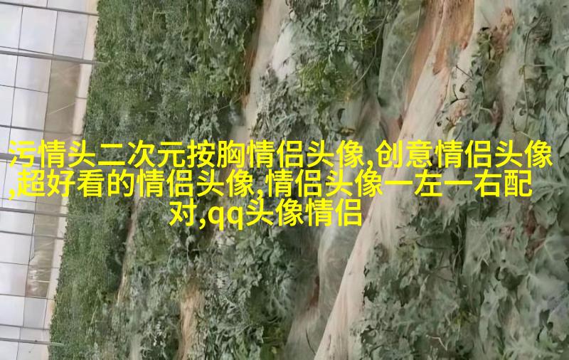 2023好看又低调的情侣头像一对(精选18张)