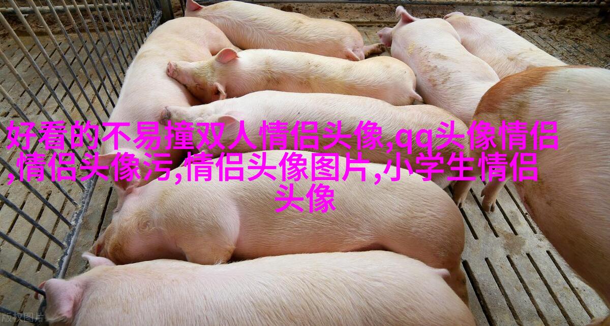 2023高级感满满的情侣头像(优选20张)