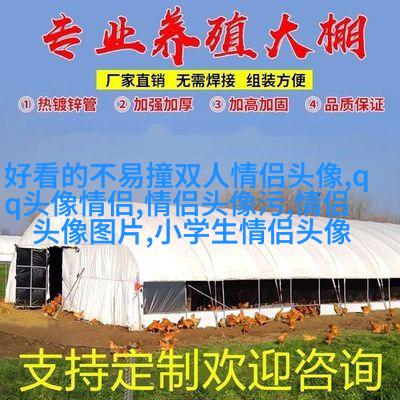 2023高级感满满的情侣头像(优选20张)