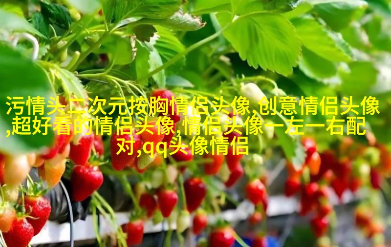 2023好看又低调的情侣头像一对(精选18张)