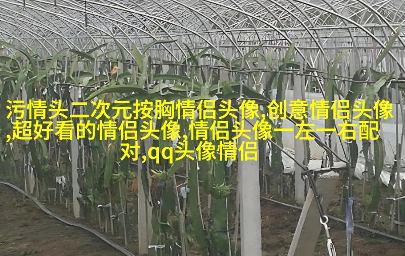 2023好看又低调的情侣头像一对(精选18张)