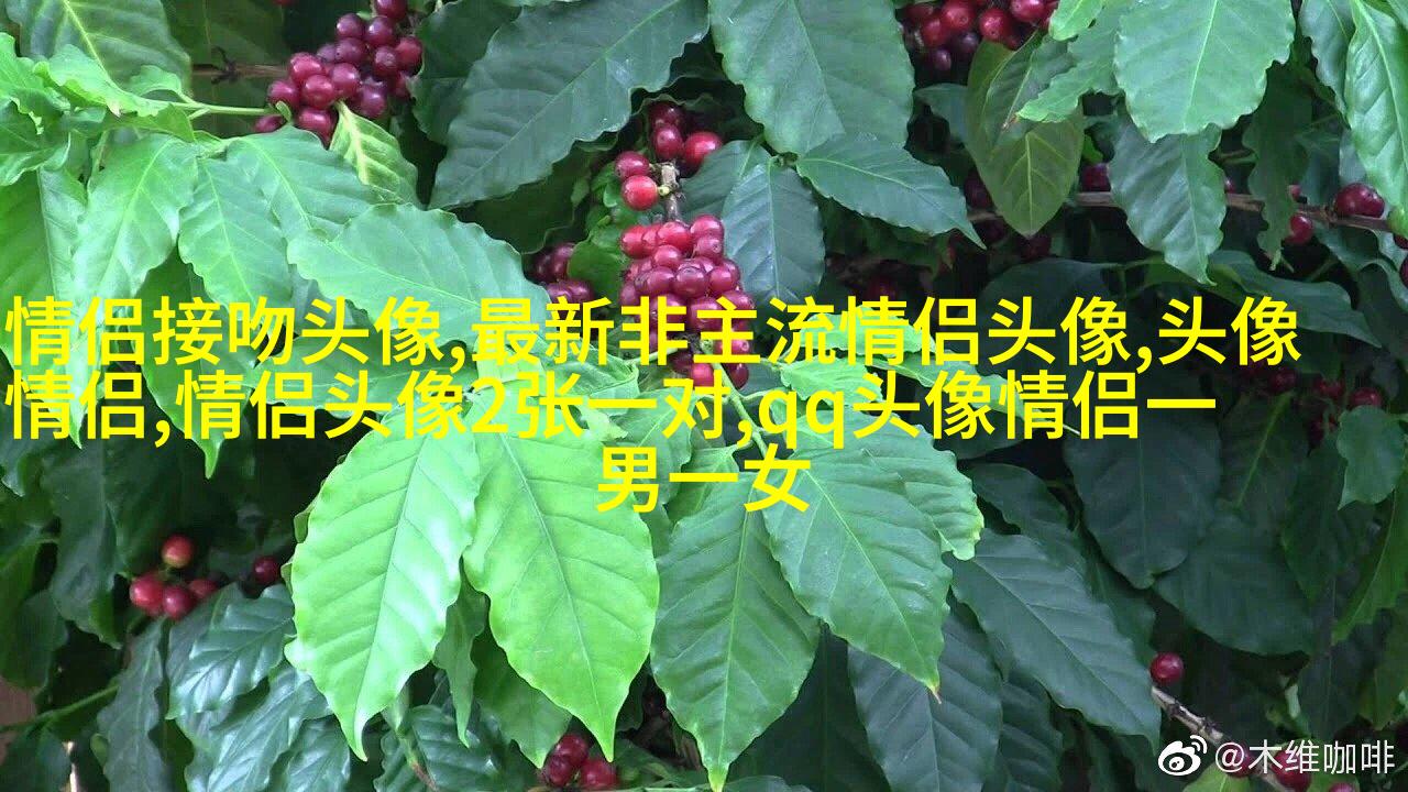 情侣头像成熟稳重两张风景情侣头像(精选16张)