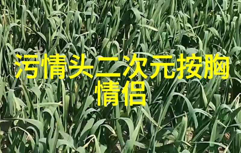 2023好看又低调的情侣头像一对(精选18张)