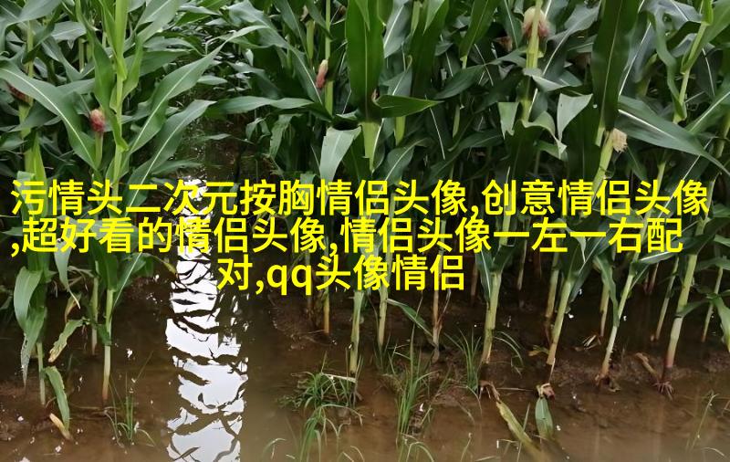 2023好看又低调的情侣头像一对(精选18张)