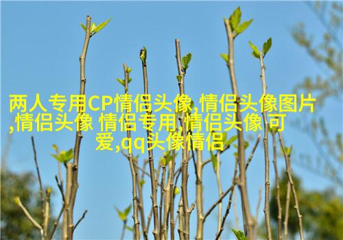 高清简笔画情侣头像小人图片大全(共18张)