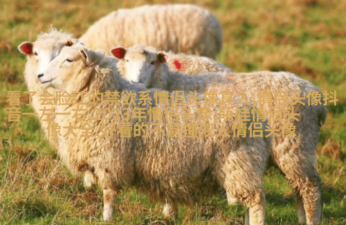手绘动漫情侣头像冷酷霸气图片(优选16张)