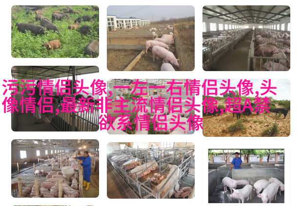 微信头像女干净唯美图片(共24张)