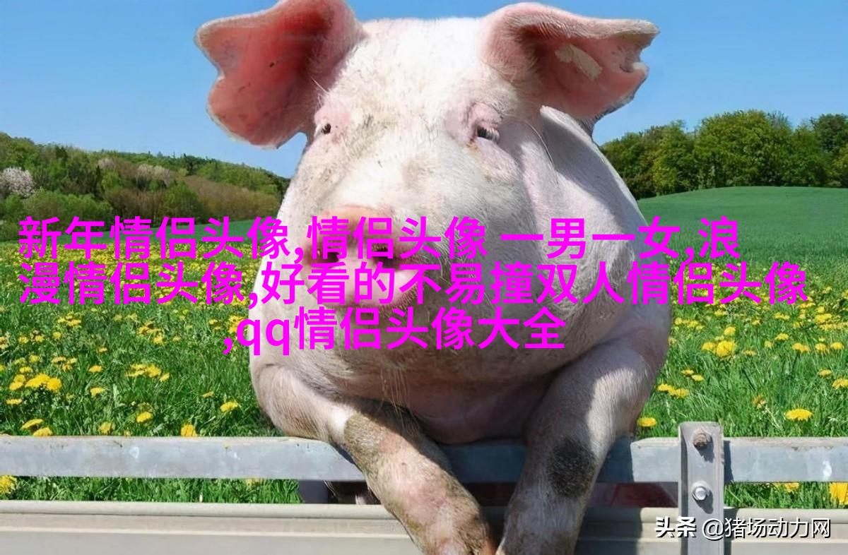 正能量微信头像图片大全(精选20张)