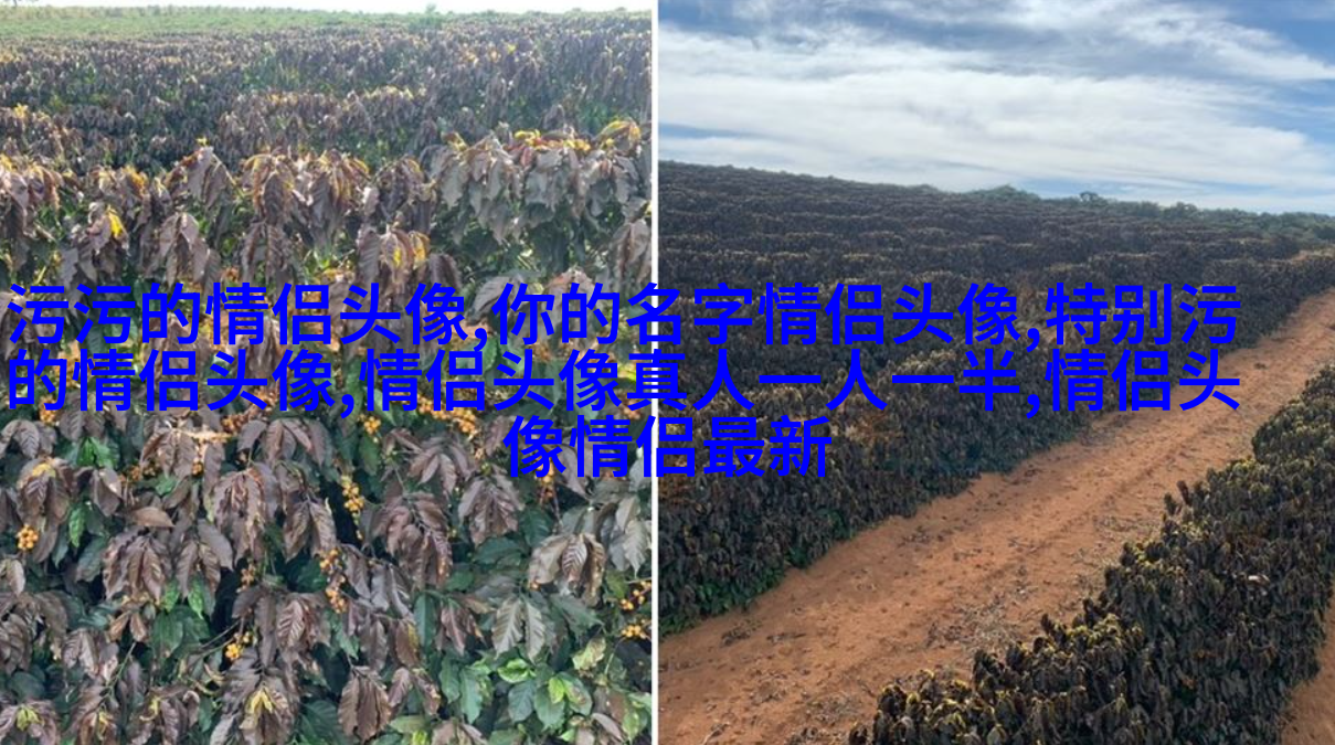 2023年兔年微信头像大全(22张)