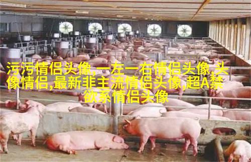微信头像女干净唯美图片(共24张)