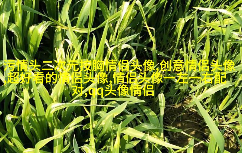 2023好看又低调的情侣头像一对(精选18张)