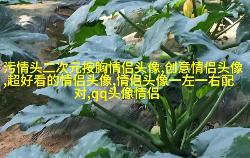 2023好看又低调的情侣头像一对(精选18张)