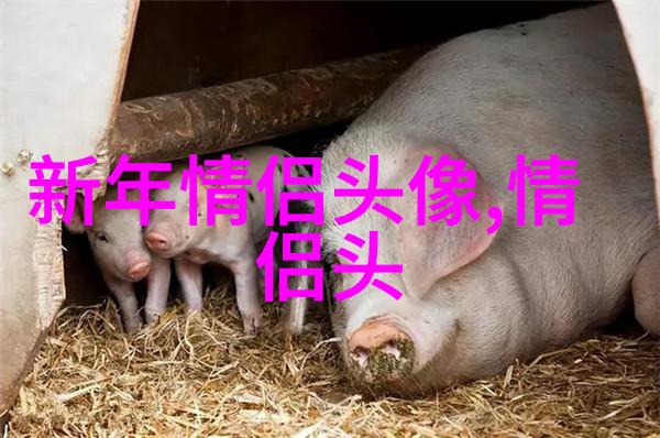 正能量微信头像图片大全(精选20张)