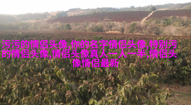 2023年兔年微信头像大全(22张)