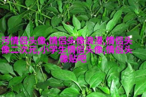 60多岁老人微信头像风景(精选26张)
