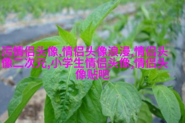 60多岁老人微信头像风景(精选26张)