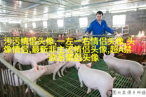微信头像女干净唯美图片(共24张)