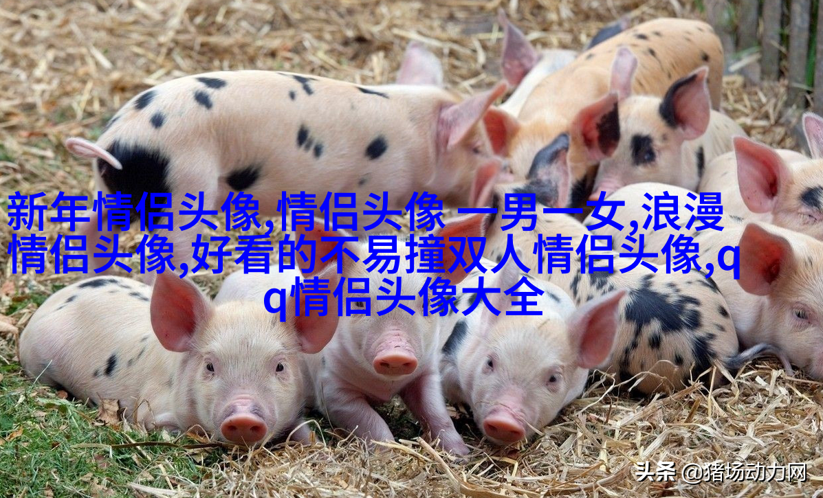 正能量微信头像图片大全(精选20张)
